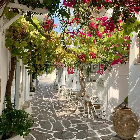 Elysium House Naousa